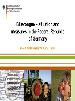 Bluetongue – Situation and Measures in the Federal Republic of Germany