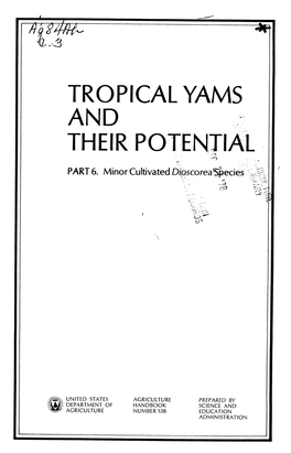 Tropical Yams and Their Potential