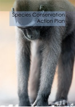 Macaca Nigra Species Conservation Action Plan