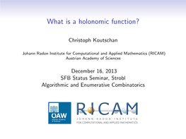 What Is a Holonomic Function?