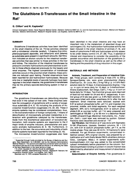 The Glutathione S-Transferases of the Small Intestine in the Rau