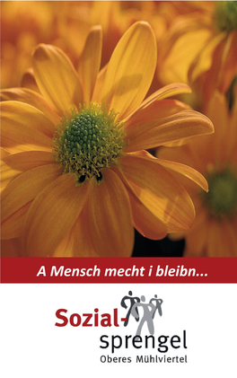 A Mensch Mecht I Bleibn