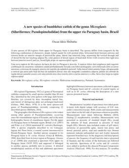 A New Species of Bumblebee Catfish of the Genus Microglanis (Siluriformes: Pseudopimelodidae) from the Upper Rio Paraguay Basin, Brazil