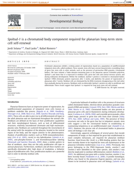 Spoltud-1 Is a Chromatoid Body Component Required for Planarian Long-Term Stem Cell Self-Renewal