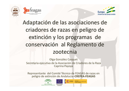 Adaptación De Las Asociaciones De Criadores De Razas En Peligro De Extinción Y Los Programas De Conservación Al Reglamento