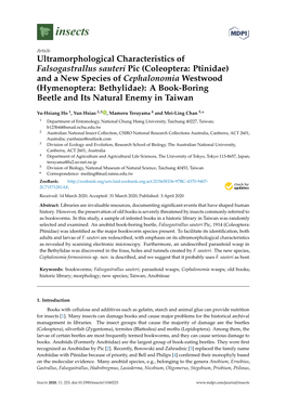 Ultramorphological Characteristics of Falsogastrallus Sauteri Pic