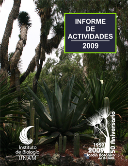 Informe De Actividades 2009