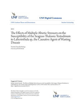 The Effects of Multiple Abiotic Stressors on the Susceptibility of the Seagrass Thalassia Testudinum to Labyrinthula Sp., the Ca