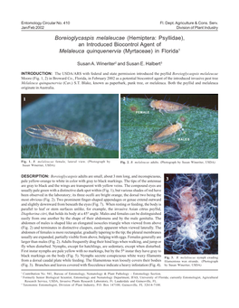 Boreioglycaspis Melaleucae (Hemiptera: Psyllidae), an Introduced Biocontrol Agent of Melaleuca Quinquenervia (Myrtaceae) in Florida1