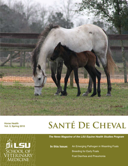 Spring 2010 Santé De Cheval