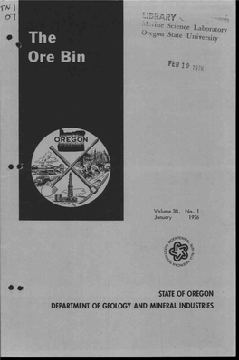 Iv STATE of OREGON DEPARTMENT of GEOLOGY and MINERAL INDUSTRIES