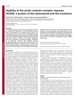 Stability of the Small Γ-Tubulin Complex Requires HCA66, a Protein of the Centrosome and the Nucleolus