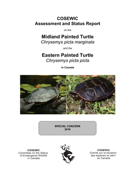 COSEWIC Assessment and Status Report on the Midland Painted Turtle Chrysemys Picta Marginata and the Eastern Painted Turtle Chrysemys Picta Picta in Canada