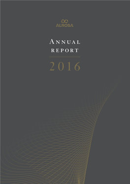 Annual Report 2016 About the Company