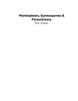 Pteridophytes, Gymnosperms & Palaeobotany