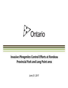 Invasive Phragmites Control Efforts at Rondeau Provincial Park and Long Point Area