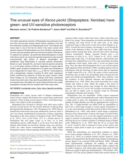 Strepsiptera: Xenidae) Have Green- and UV-Sensitive Photoreceptors Marisano James1, Sri Pratima Nandamuri2,*, Aaron Stahl2 and Elke K