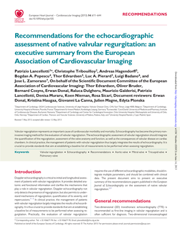 Recommendations for the Echocardiographic Assessment of Native Valvular Regurgitation: an Executive Summary from the European Association of Cardiovascular Imaging