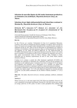 Sélection De Nouvelles Lignées De Blé Tendre Hautement Productives Et Résistantes À La Cécidomyie, Mayetiola Destructor (Say), Au Maroc