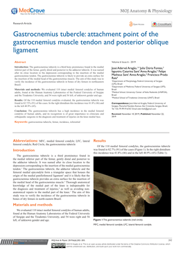 Attachment Point of the Gastrocnemius Muscle Tendon and Posterior Oblique Ligament