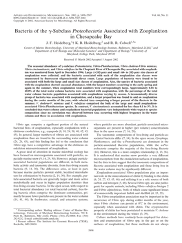 Subclass Proteobacteria Associated with Zooplankton in Chesapeake Bay J