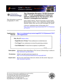 The Chemokine Receptor CXCR3 Promotes CD8+ T Cell Accumulation in Uninfected Salivary Glands but Is Not Necessary After Murine Cytomegalovirus Infection