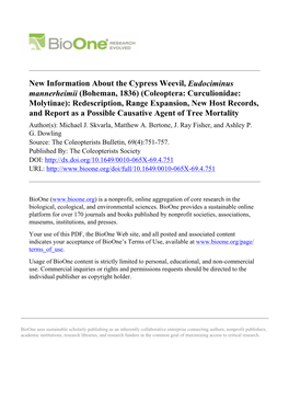 New Information About the Cypress Weevil