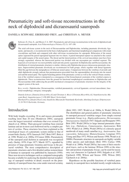 Pneumaticity and Soft-Tissue Reconstructions in the Neck Of