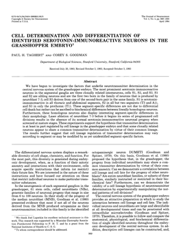 Cell Determination and Differentiation of Identified Serotonin-Immunoreactive Neurons in the Grasshopper Embryo’