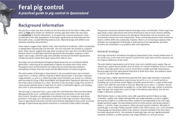 Feral Pig Control Manual