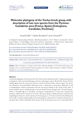 Molecular Phylogeny of the Trechus Brucki Group, with Description of Two New Species from the Pyreneo
