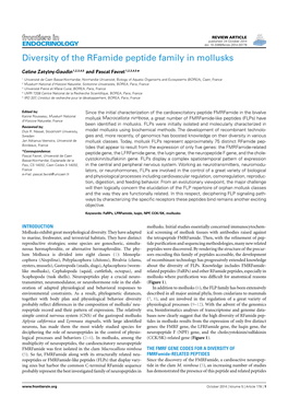 Diversity of the Rfamide Peptide Family in Mollusks