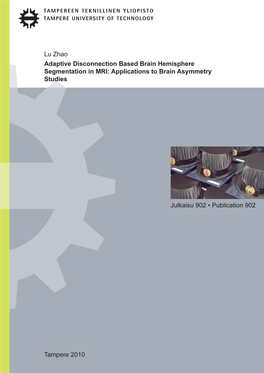 2.3 Brain Tissue Classification and Partial Volume Modeling