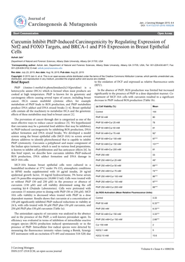 Curcumin Inhibit Phip-Induced Carcinogenicity by Regulating