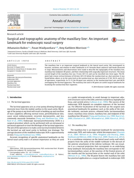 Surgical and Topographic Anatomy of the Maxillary Line: an Important