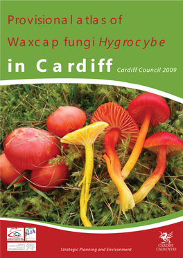 Cardiff Waxcap Atlas 2009.Indd
