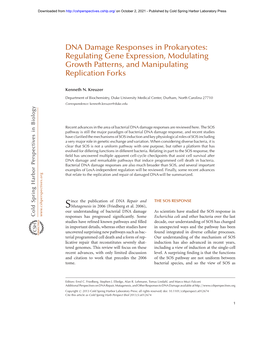 DNA Damage Responses in Prokaryotes: Regulating Gene Expression, Modulating Growth Patterns, and Manipulating Replication Forks