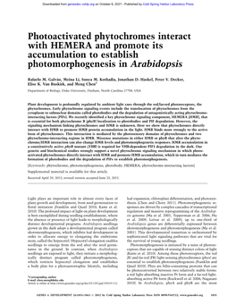 Photoactivated Phytochromes Interact with HEMERA and Promote Its Accumulation to Establish Photomorphogenesis in Arabidopsis