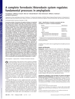 A Complete Ferredoxin Thioredoxin System Regulates Fundamental