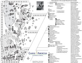 Plant Species in the Joseph Wood Krutch Garden