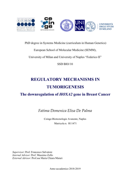 REGULATORY MECHANISMS in TUMORIGENESIS the Downregulation of HOXA2 Gene in Breast Cancer