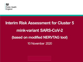 Interim Risk Assessment for Cluster 5 Mink-Variant SARS-Cov-2