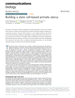 Building a Stem Cell-Based Primate Uterus