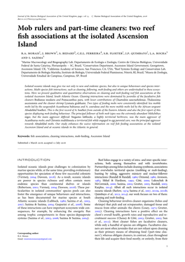 Two Reef Fish Associations at the Isolated Ascension Island