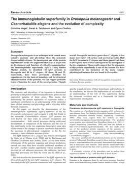 The Immunoglobulin Superfamily in Drosophila Melanogaster and Caenorhabditis Elegans and the Evolution of Complexity Christine Vogel*, Sarah A