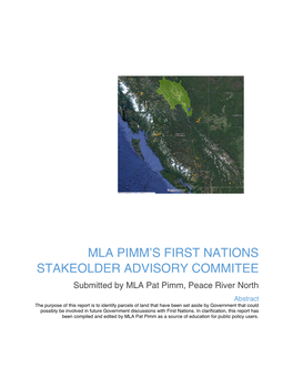 MLA Pat Pimm's Stakeholder Advisory Committee Report