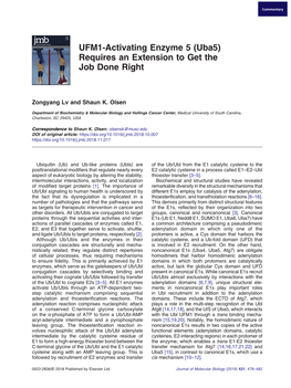 UFM1-Activating Enzyme 5 (Uba5) Requires an Extension to Get the Job Done Right