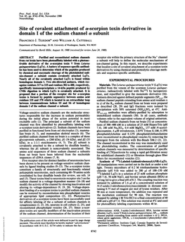 Site of Covalent Attachment of A-Scorpion Toxin Derivatives in Domain I of the Sodium Channel a Subunit FRANCISCO J