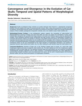 Convergence and Divergence in the Evolution of Cat Skulls: Temporal and Spatial Patterns of Morphological Diversity