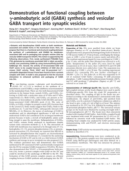 Aminobutyric Acid (GABA) Synthesis and Vesicular GABA Transport Into Synaptic Vesicles